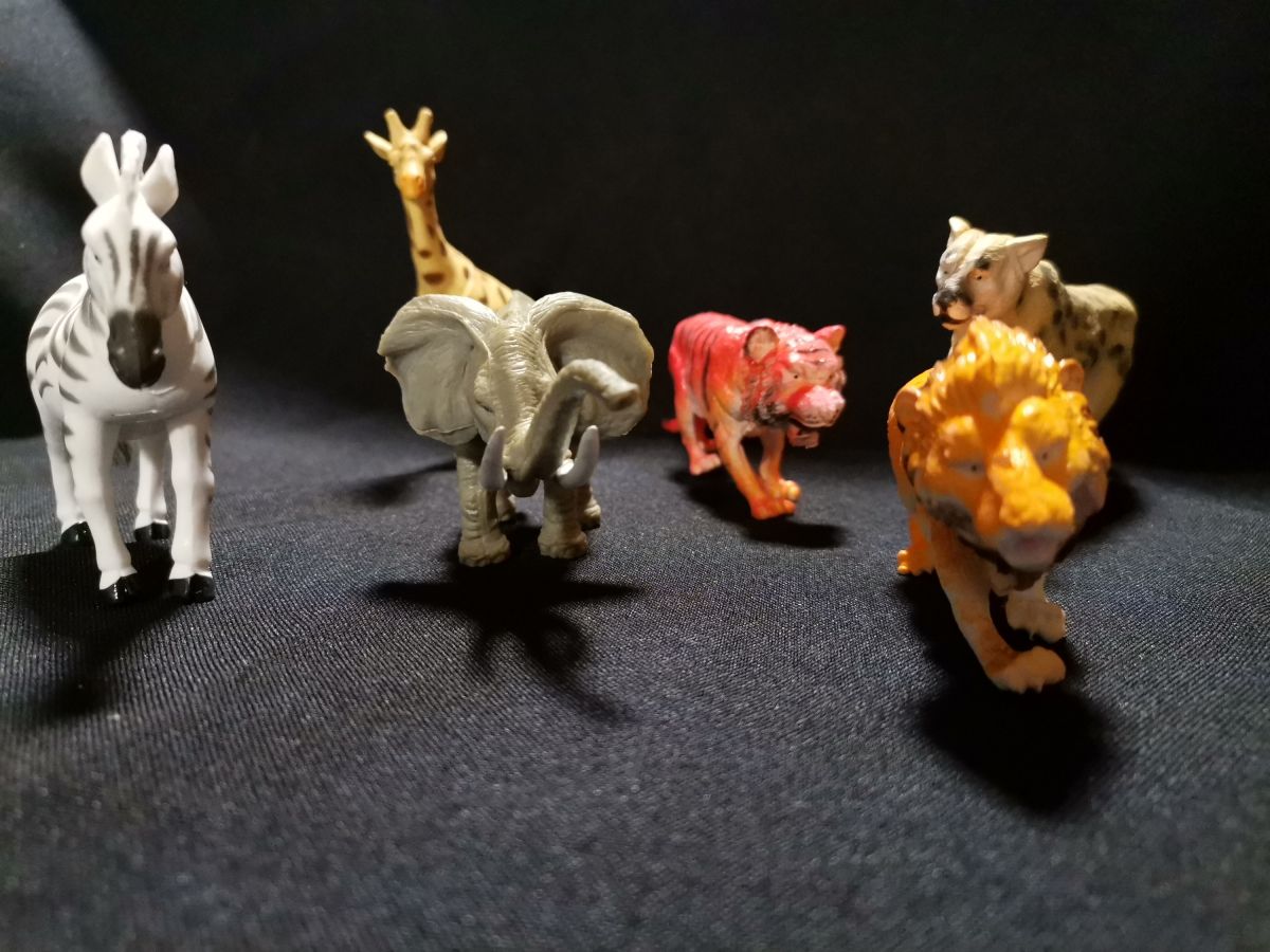 Wild Animals Play Set